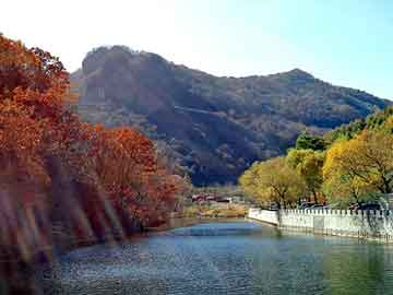 新澳天天开奖资料大全旅游团，拱北口岸通关时间